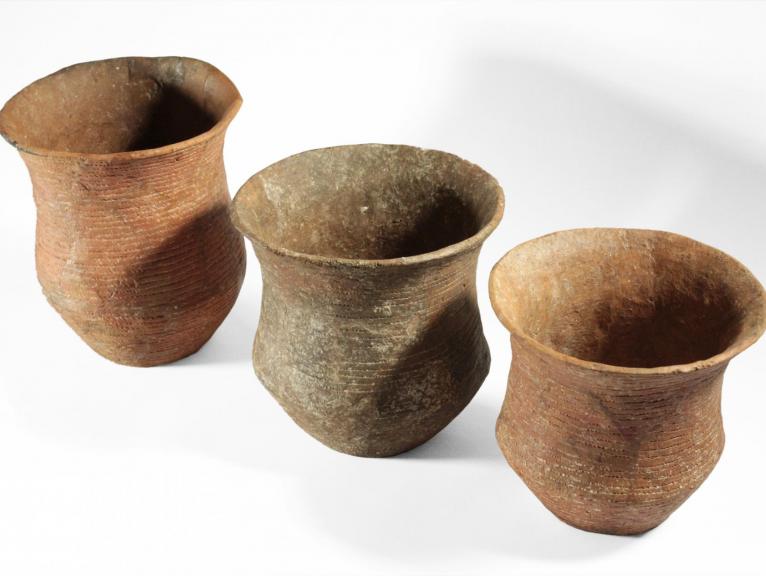 Beaker pottery from Boscombe 