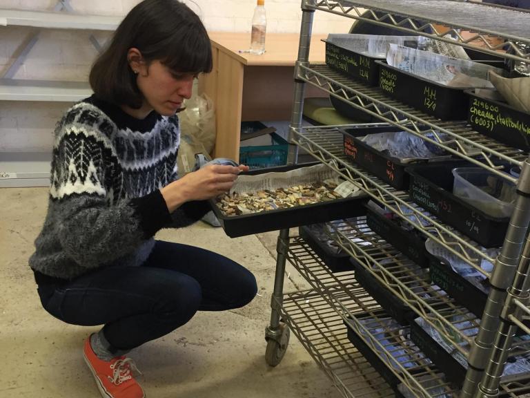 Cecilia Levratto work experience at Wessex Archaeology in Sheffield