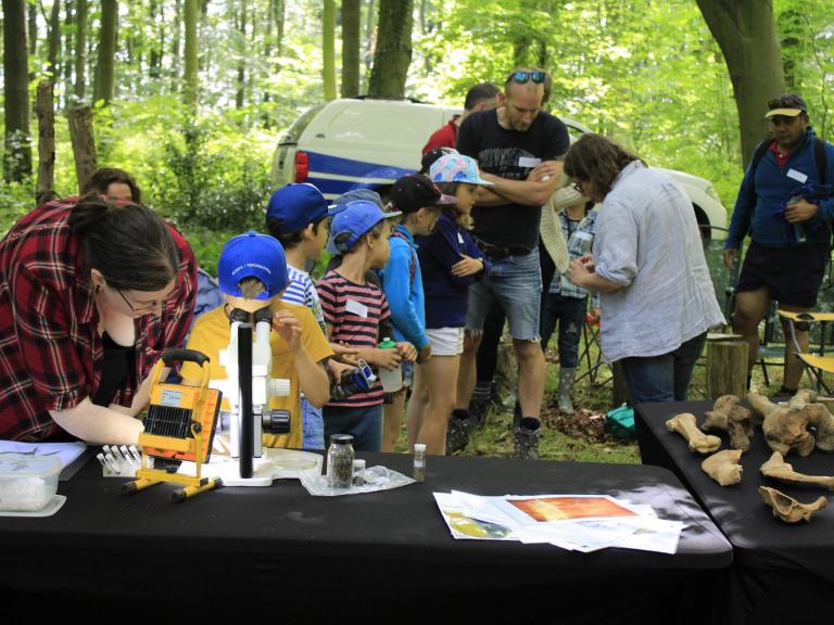 Archaeological replicas at Cuthbright Wood