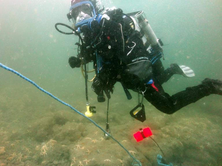 Heritage at Risk – Dive Contract (2013 – 2015)