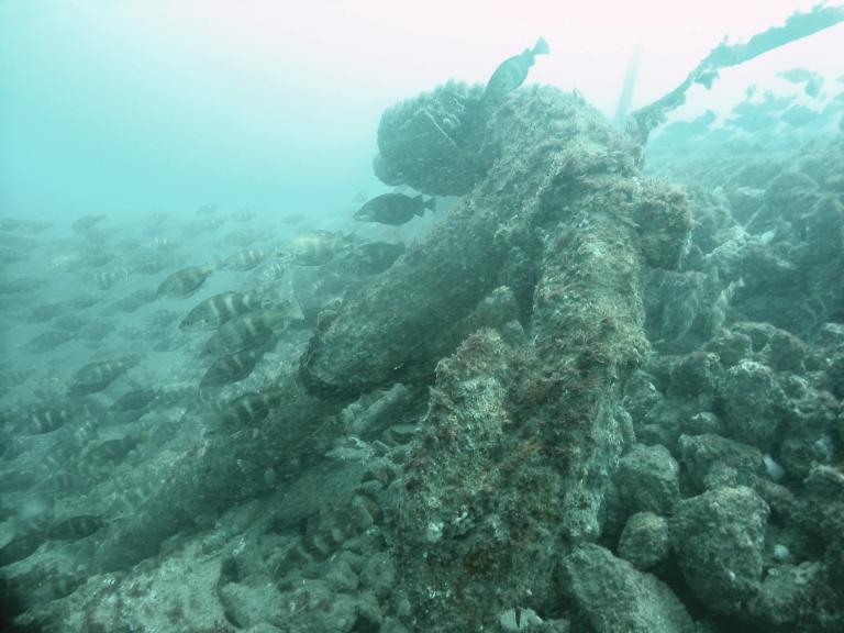 ALSF England’s Shipping Anchor of the Concha 
