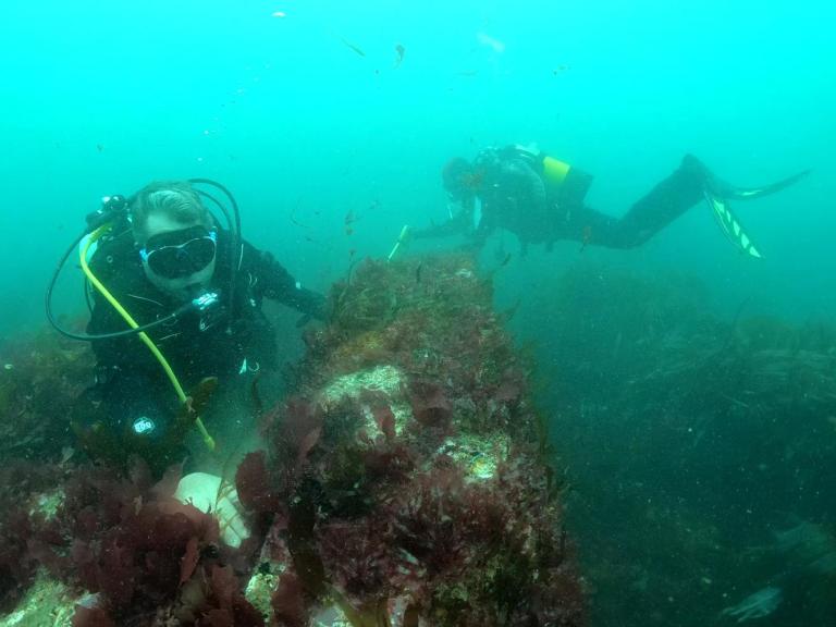 Divers from the Wessex Archaeology Coastal & Marine team photographed underwater