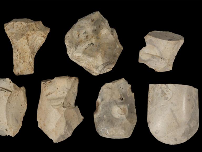 Harlington polished axe