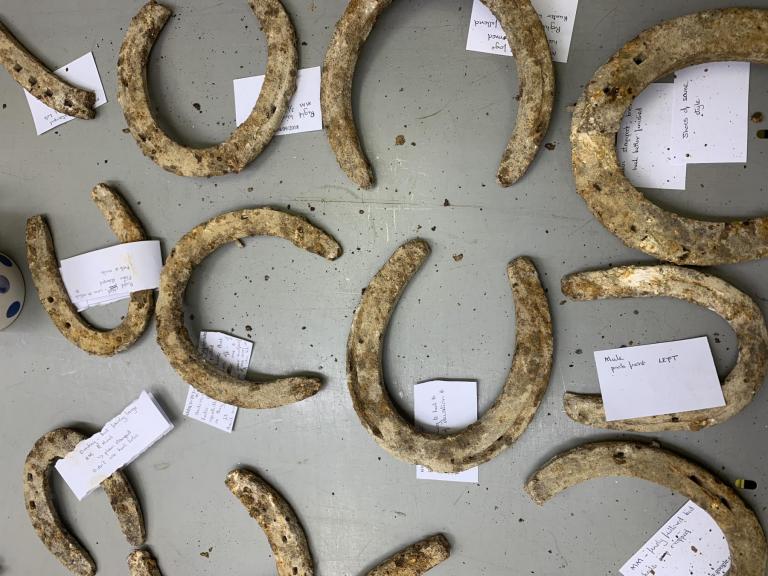 Early 20th century horse shoes found on Salisbury Plain, laid out on the table for local farriers to view