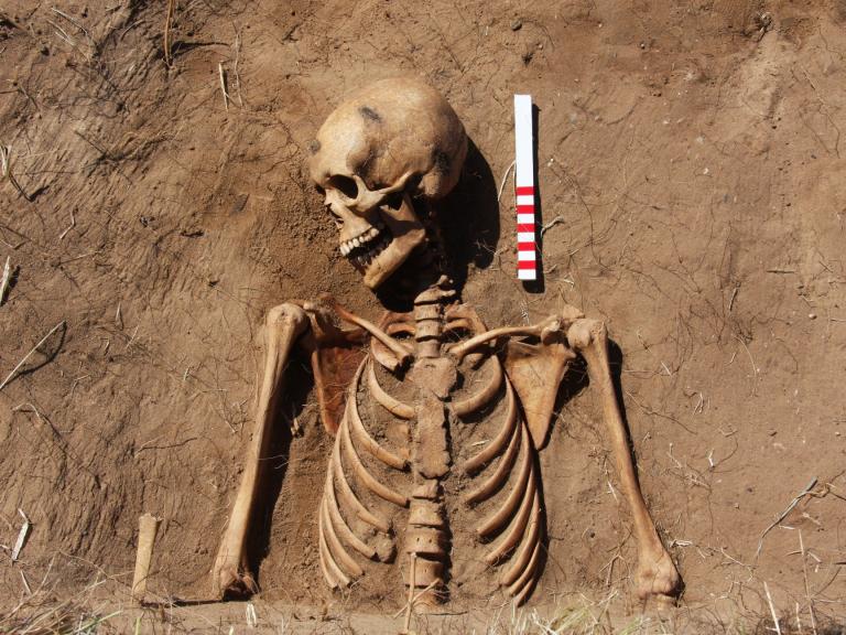 Inhumation burial on the Time Team site at St Ebba's Chapel, Beadell 
