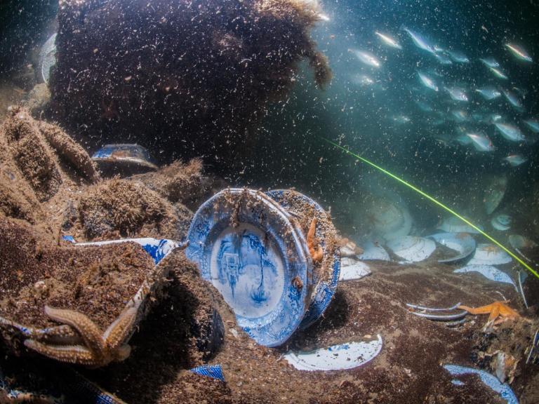 Captured underwater - Various ceramics including plates © Stefan Panis