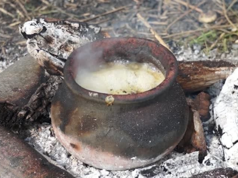 Cows, curds and casseroles 