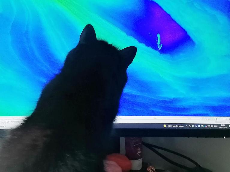 Ogg the Cat looks on as Marine Geophysicist, Robyn Pelling, analyses offshore data 