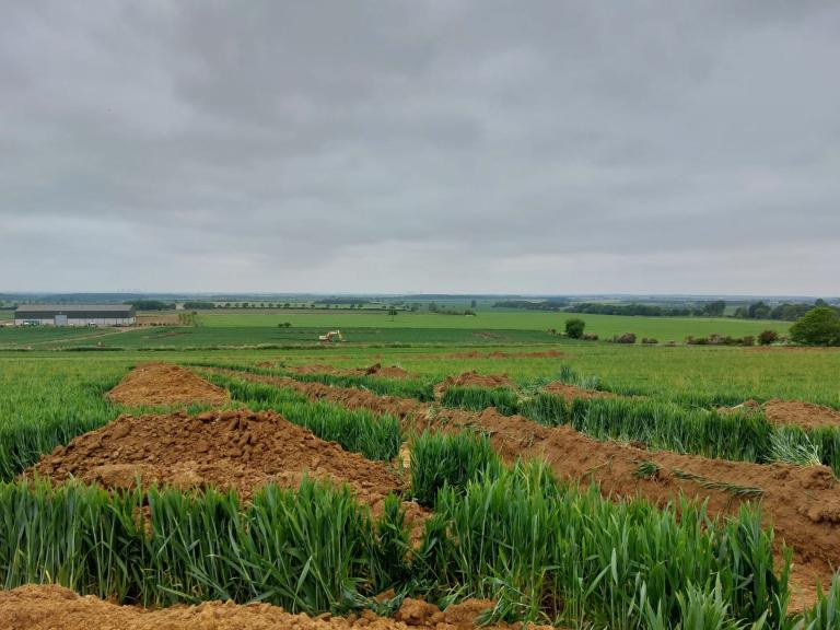 Tillbridge Solar Project: rolling green fields gently slope towards the horizon. The sky is grey and the fields are peppered with rectangular evaluation trenches 