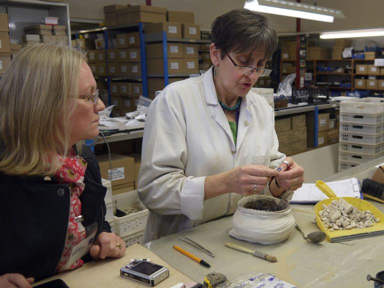 Osteoarchaeologist excavation pot in lab