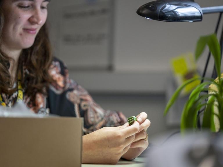 Tackling the skills shortage with Historic England’s Archaeology Mentoring Partnerships Programme, Jasmine assesses pottery at desk