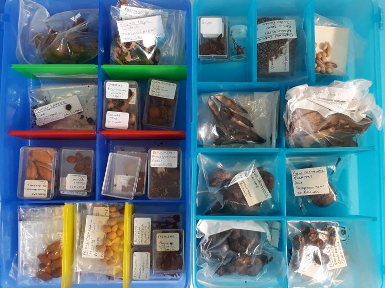 Legacy donation reference collection for the Environmental team