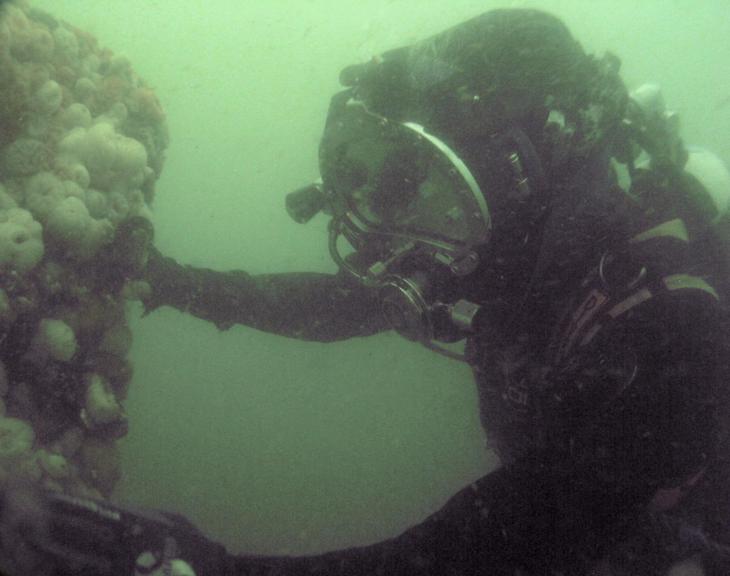 a diver on Resurgam