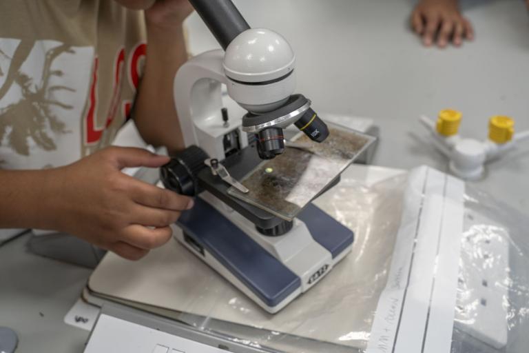 A child using a microscope, they are looking at organic matter preserved between two glass slides