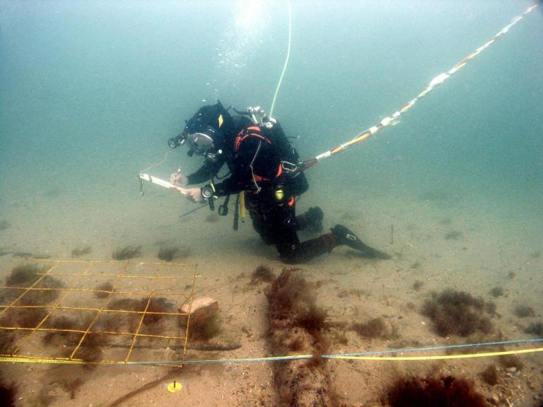 A diver on the Swash Channel wreck