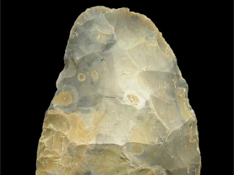 Neanderthal flint hand axe