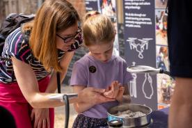 Dig into history at Archaeology Open Day at Wareham Town Museum