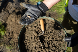 A participant of the Digging for Erlestoke project holds a clay pipe stem in his hand.