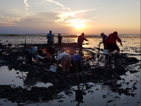 Working on the Tankerton shipwreck