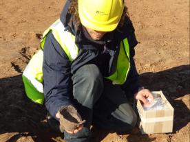 Pottery found during excavation work at Humber