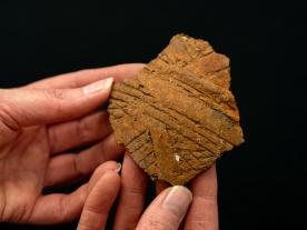 Beaker pottery with line decoration from A303 trial excavation 