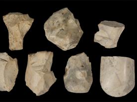 Harlington polished axe