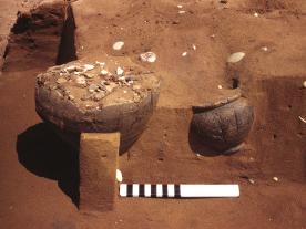 Archaeological remains on the M6 Toll Road