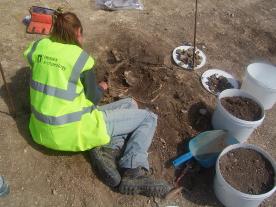 Archaeological excavation at Margetts Pit, Burham, Kent