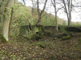 Archaeological remains in the woods at Wortley Tin Mill, Barnsley